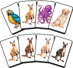 Piles! Animals